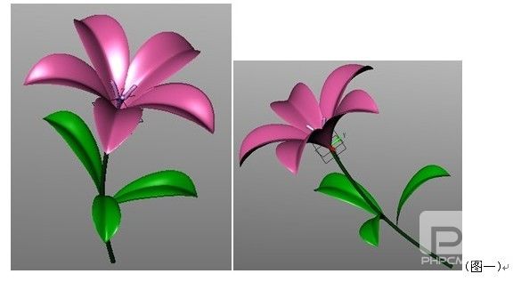 新年CAD教程:用xelega3D画一朵鲜花